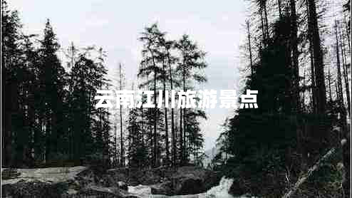 云南江川旅游景點 云南江川旅游景點