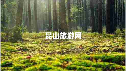 昆山旅游網(wǎng) 昆山旅游網(wǎng)