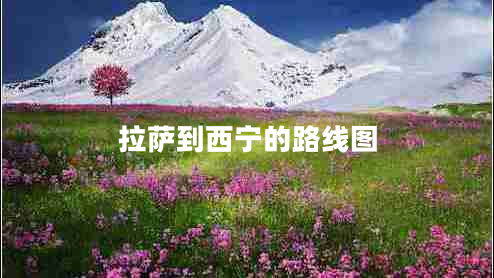拉薩到西寧的路線圖 拉薩到西寧的路線圖