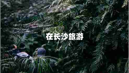 在長沙旅游