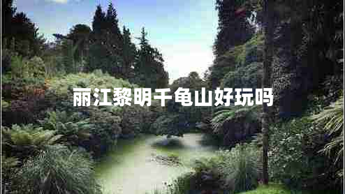 麗江黎明千龜山好玩嗎 麗江黎明千龜山好玩嗎