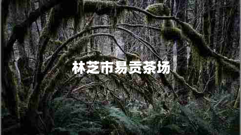 林芝市易貢茶場(chǎng)