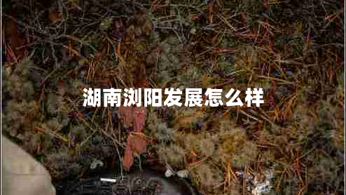 湖南瀏陽發(fā)展怎么樣 湖南瀏陽發(fā)展怎么樣