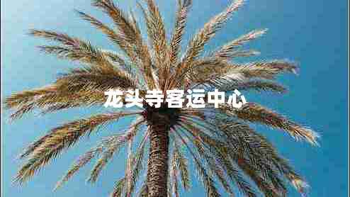龍頭寺客運(yùn)中心
