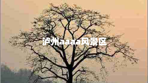 瀘州aaaa風(fēng)景區(qū)
