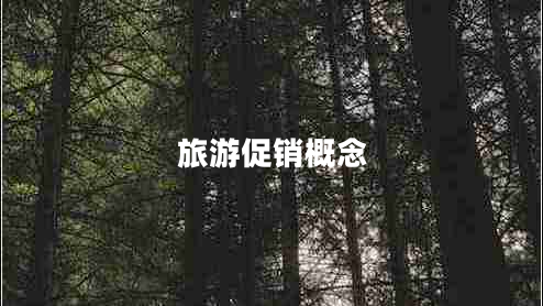 旅游促銷概念
