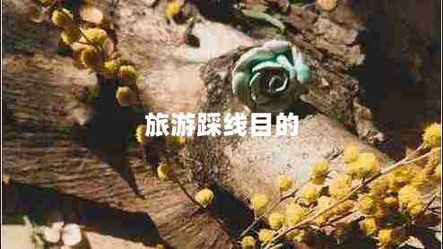 旅游踩線目的