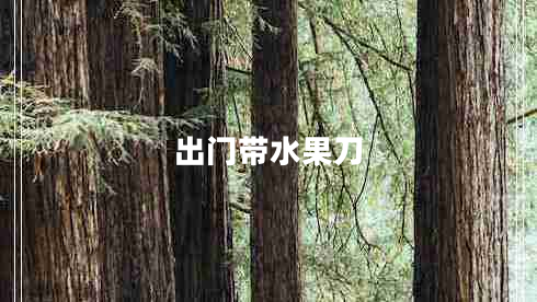 出門帶水果刀