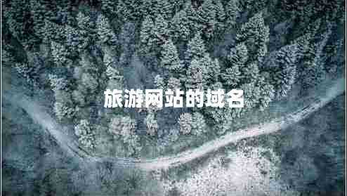 旅游網(wǎng)站的域名