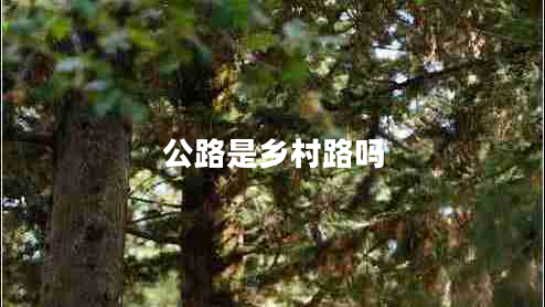 公路是鄉(xiāng)村路嗎