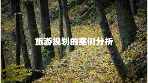旅游規(guī)劃的案例分析