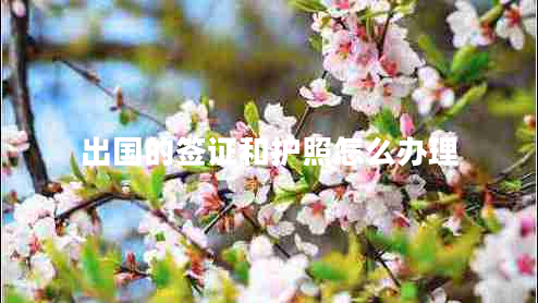 出國的簽證和護照怎么辦理