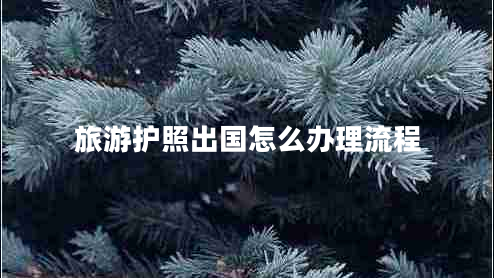 旅游護(hù)照出國(guó)怎么辦理流程 旅游護(hù)照出國(guó)怎么辦理流程