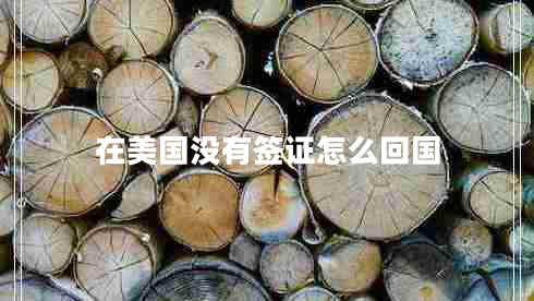 在美國(guó)沒(méi)有簽證怎么回國(guó)