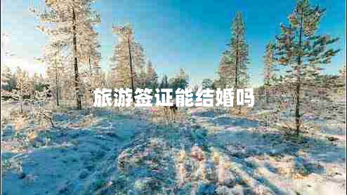 旅游簽證能結婚嗎