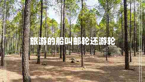 旅游的船叫郵輪還游輪