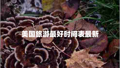 美國旅游最好時間表最新