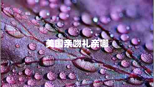 美國(guó)親吻禮親哪