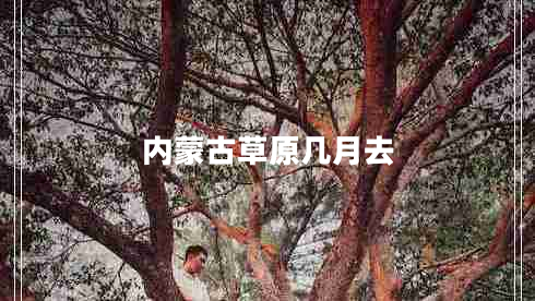 內(nèi)蒙古草原幾月去