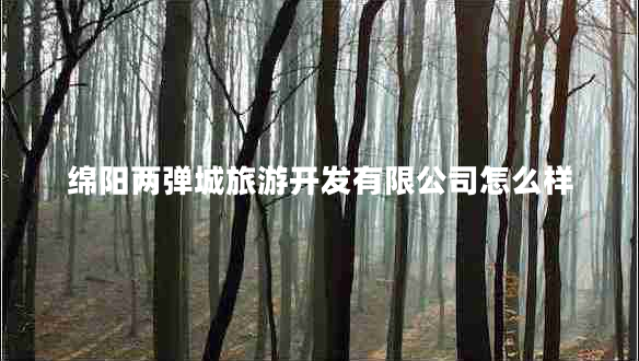 綿陽(yáng)兩彈城旅游開發(fā)有限公司怎么樣