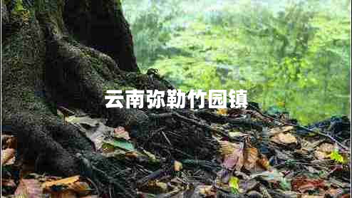 云南彌勒竹園鎮(zhèn) 云南彌勒竹園鎮(zhèn)