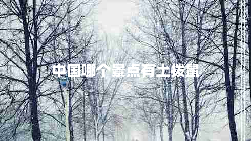 中國哪個景點有土撥鼠 中國哪個景點有土撥鼠