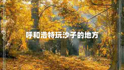 呼和浩特玩沙子的地方 呼和浩特玩沙子的地方