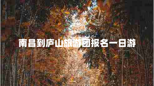 南昌到廬山旅游團報名一日游