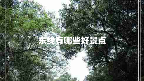 東線有哪些好景點(diǎn) 東線有哪些好景點(diǎn)