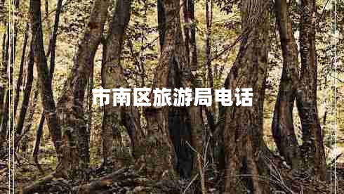 市南區(qū)旅游局電話