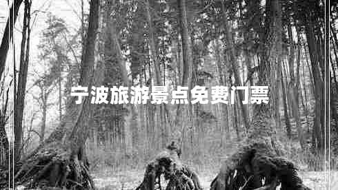 寧波旅游景點免費門票