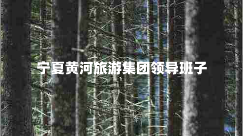寧夏黃河旅游集團(tuán)領(lǐng)導(dǎo)班子 寧夏黃河旅游集團(tuán)領(lǐng)導(dǎo)班子