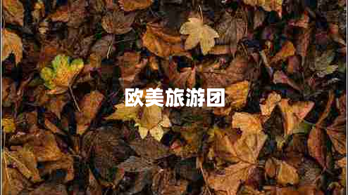 歐美旅游團 歐美旅游團