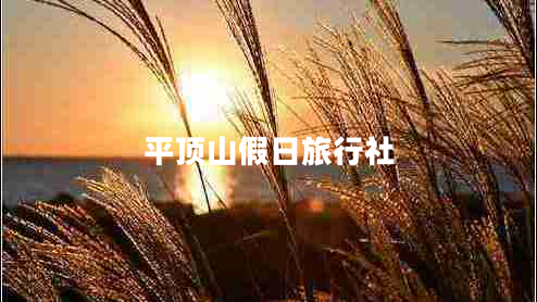 平頂山假日旅行社