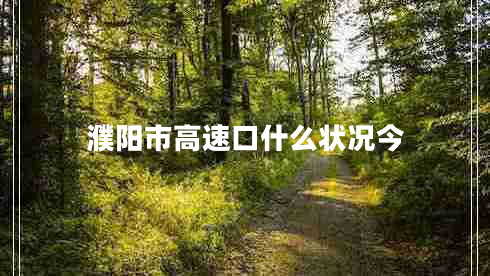 濮陽市高速口什么狀況今