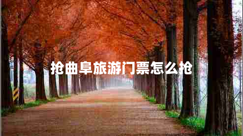 搶曲阜旅游門票怎么搶