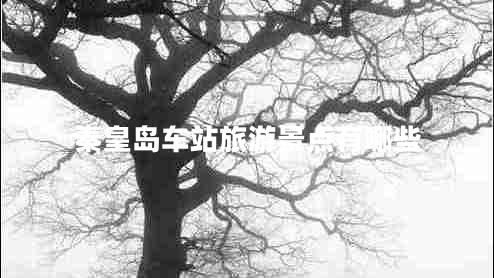 秦皇島車(chē)站旅游景點(diǎn)有哪些