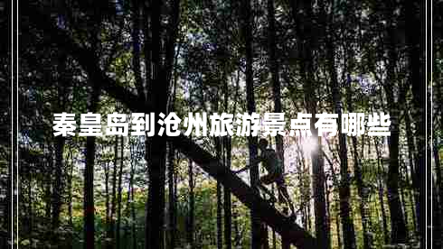 秦皇島到滄州旅游景點(diǎn)有哪些 秦皇島到滄州旅游景點(diǎn)有哪些