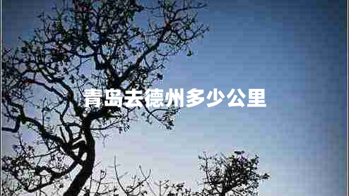 青島去德州多少公里 青島去德州多少公里