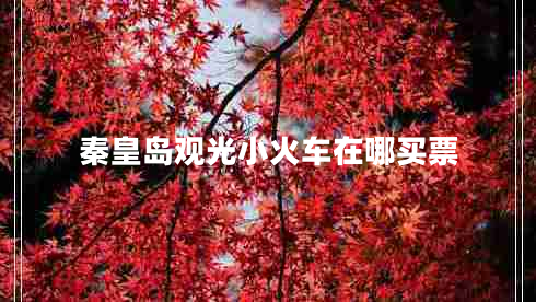 秦皇島觀光小火車在哪買票 秦皇島觀光小火車在哪買票