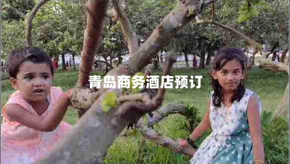 青島商務(wù)酒店預(yù)訂 青島商務(wù)酒店預(yù)訂