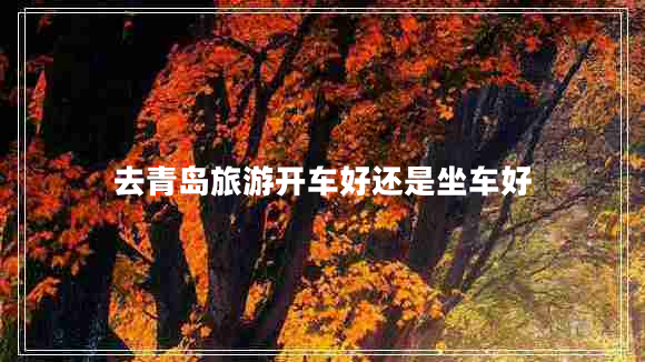 去青島旅游開(kāi)車(chē)好還是坐車(chē)好