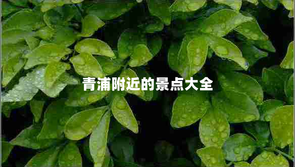 青浦附近的景點大全 青浦附近的景點大全