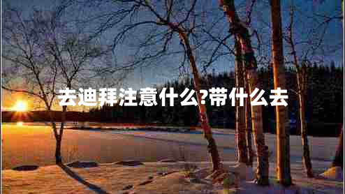 去迪拜注意什么?帶什么去