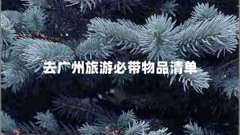 去廣州旅游必帶物品清單 去廣州旅游必帶物品清單