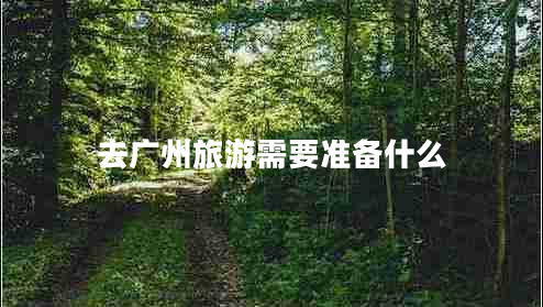 去廣州旅游需要準(zhǔn)備什么 去廣州旅游需要準(zhǔn)備什么