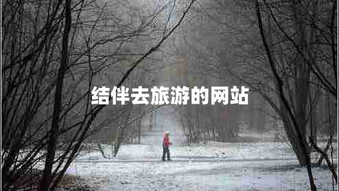 結(jié)伴去旅游的網(wǎng)站