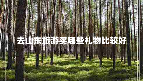 去山東旅游買哪些禮物比較好 去山東旅游買哪些禮物比較好