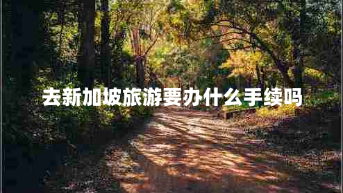 去新加坡旅游要辦什么手續(xù)嗎