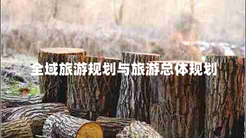 全域旅游規(guī)劃與旅游總體規(guī)劃